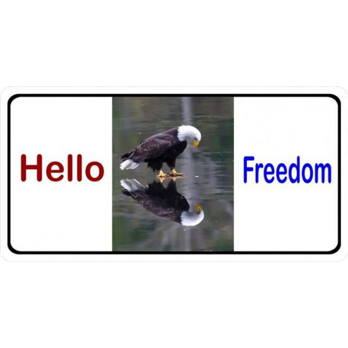 212 Main LPO1920 6 x 12 in. Hello Freedom with Eagle Photo License PLatitudee